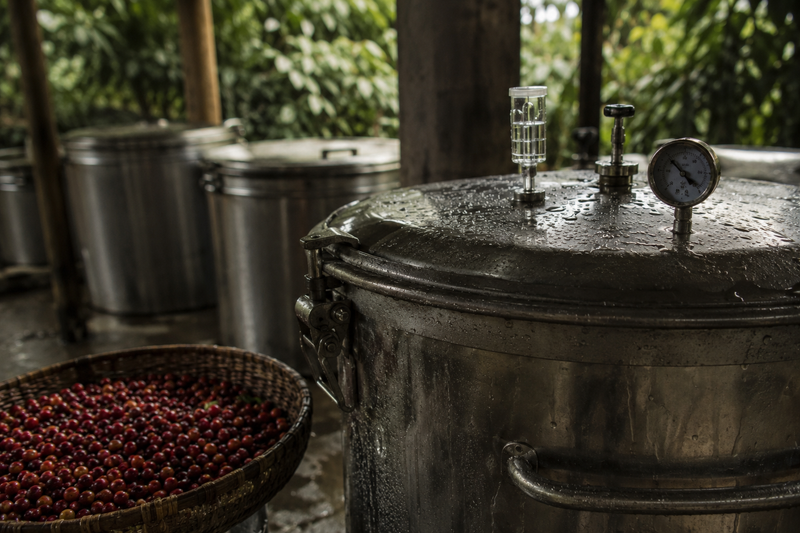Experimental and Anaerobic Processing: Innovation, Control, and Controversy